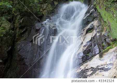 御手洗瀑布(第1瀑布)(佐賀縣鳥棲市) 御手洗瀑布(第1瀑布)(佐賀縣鳥棲市) 43341524