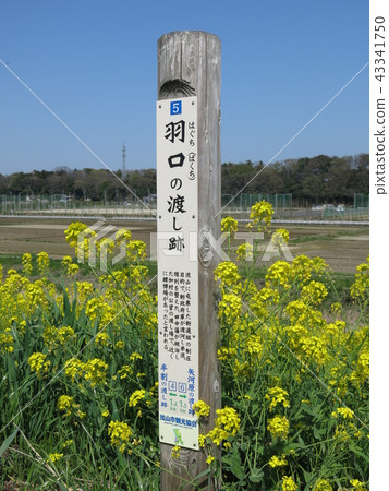 Passage mark of Edogawa Passage mark of Edogawa 43341750