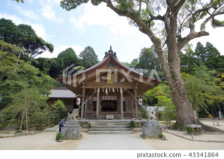 Homan Shrine Kumon Shrine's Ohon-don and Hui-don (Dazaifu City, Fukuoka Prefecture) 43341864