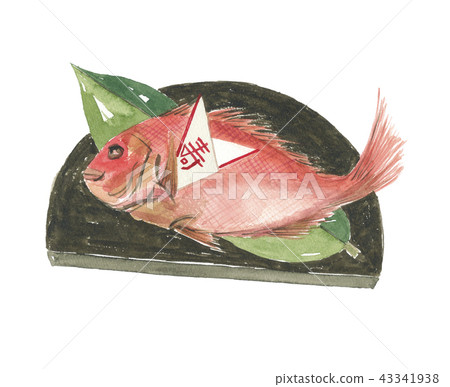 慶祝鯛魚 43341938