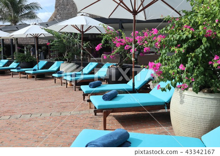 Vietnam Quy Nhon Vietnam Quy Nhon 43342167