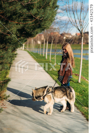 A girl is walking with a dog along the embankment. Beautiful husky dog A girl is walking with a dog along the embankment. Beautiful husky dog 43342579