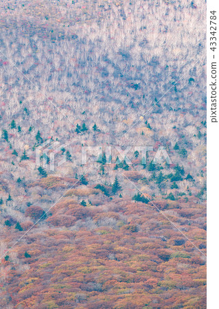 岩手山/秋天馬賽克/烤熔岩流,八幡平市,岩手縣 岩手山/秋天馬賽克/烤熔岩流,八幡平市,岩手縣 43342784