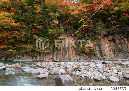 秋葉的松川玄武岩/八幡平市,岩手縣 秋葉的松川玄武岩/八幡平市,岩手縣 43342785