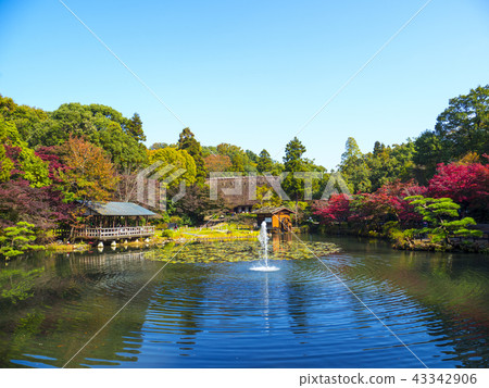 東山動物園和植物園在秋天 43342906