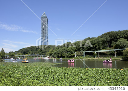 Higashiyama Animal and Botanical Garden in autumn Higashiyama Animal and Botanical Garden in autumn 43342910