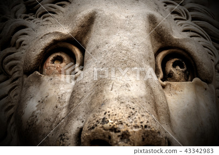 Lion Statue - Cathedral St. Lawrence Genova Lion Statue - Cathedral St. Lawrence Genova 43342983