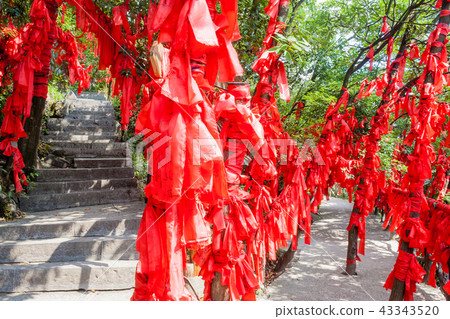 Mountain landscape zhangjiajie national park china 43343520
