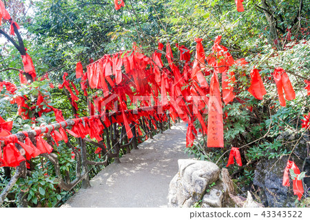Mountain landscape zhangjiajie national park china 43343522