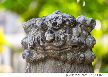 Roof ornament 43344635