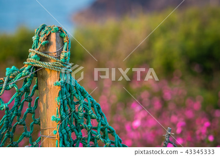 Green net fence surrounding rural garden 43345333