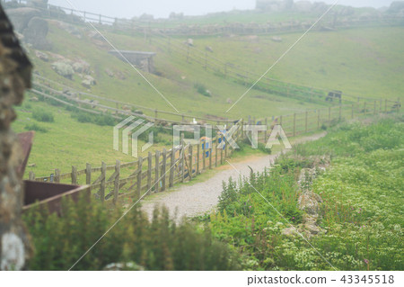 Path through farm in Cornwall Path through farm in Cornwall 43345518