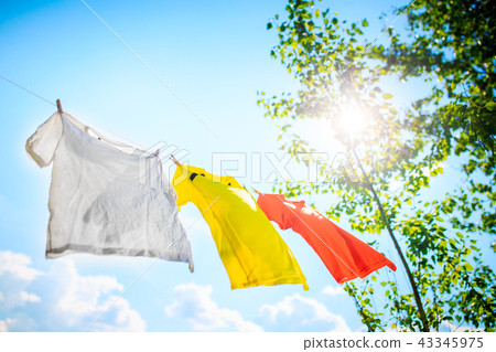 Photo of three T-shirts hanging on rope on background of blue sky with treetops. 43345975
