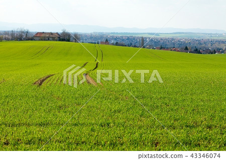 Agriculture Agriculture 43346074