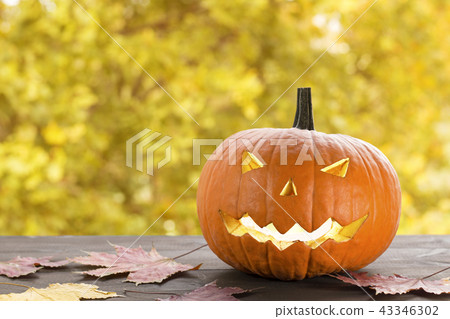 halloween carved pumpkin, jack-o-lantern 43346302