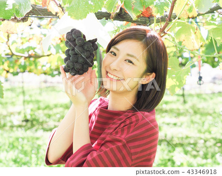 A woman with a hand on a grape vine grape 43346918