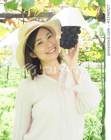 Woman putting hand on grape 43346927