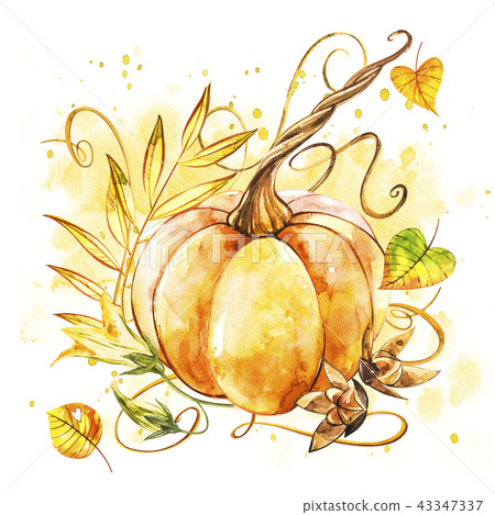 Pumpkin. Hand drawn watercolor painting on white background. Watercolor illustration with a splash. Pumpkin. Hand drawn watercolor painting on white background. Watercolor illustration with a splash. 43347337