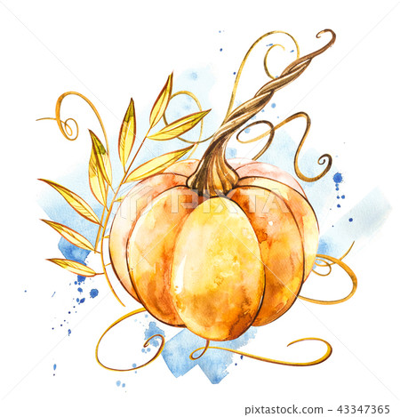 Pumpkin. Hand drawn watercolor painting on white background. Watercolor illustration with a splash. 43347365