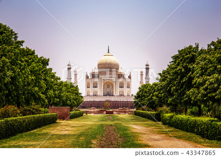 Taj Mahal Taj Mahal 43347865