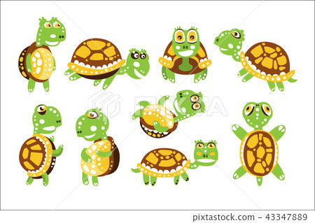 Cartoon funny turtle, set for label design. olorful character vector Illustration Cartoon funny turtle, set for label design. olorful character vector Illustration 43347889