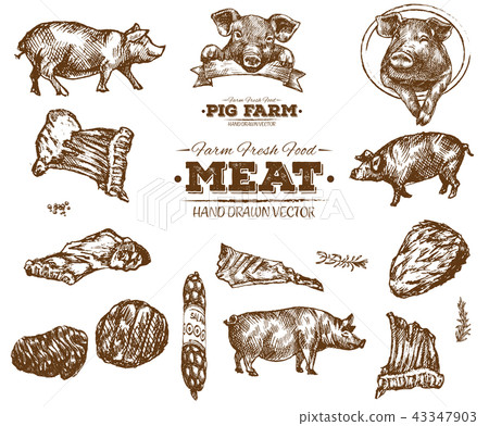 Hand drawn fresh farm meat bbq sketch 43347903