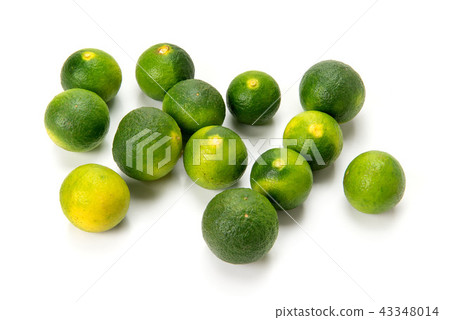 Picking oranges 43348014