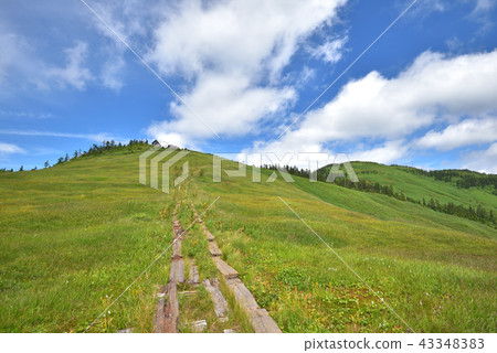 Aizu Komagatake grassland and the hut of a piece Aizu Komagatake grassland and the hut of a piece 43348383