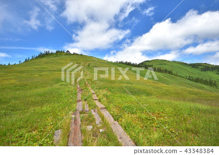Aizu Komagatake grassland and the hut of a piece Aizu Komagatake grassland and the hut of a piece 43348384