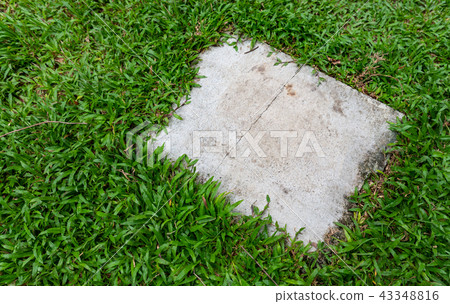Square gray cement background texture on grass Square gray cement background texture on grass 43348816