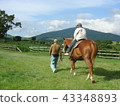 An old man pulling horse while looking at Aso mountain 43348893