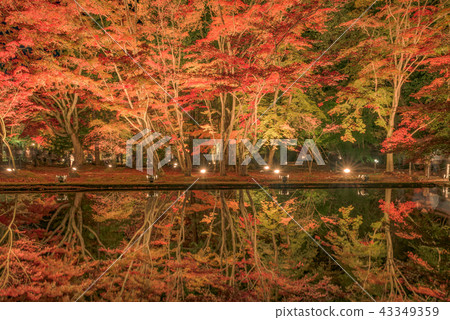 Sogaki公園秋葉 43349359