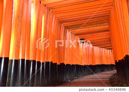 Fushimi-Inari Taisha Shrine Torii Torii Fushimi-Inari Taisha Shrine Torii Torii 43349896