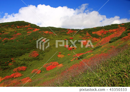 Fall of Tokachi dake mountains 43350333