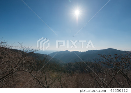 Mountain back of Izu Mountain back of Izu 43350512