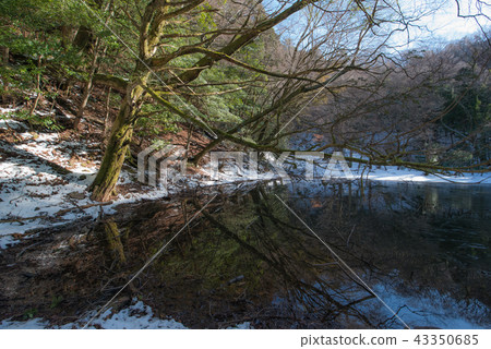 Silanuta的池塘 Silanuta的池塘 43350685