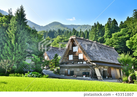 Shirakawago 43351807
