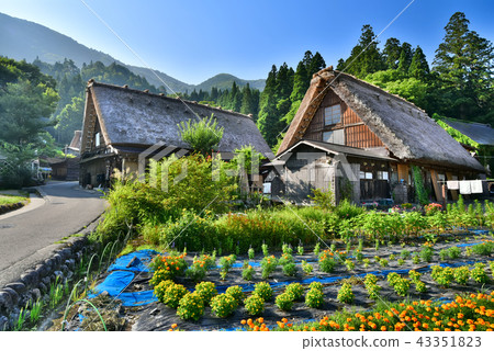 Shirakawago Shirakawago 43351823