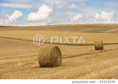 Composition Two Straw Bales 43351916