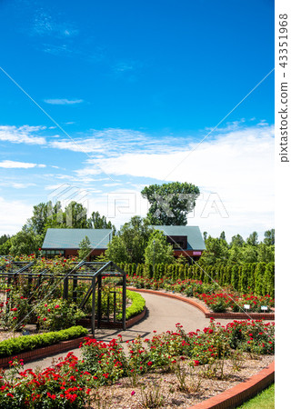 Iwamizawa rose garden 43351968