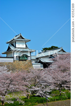 The landmark of Kanazawa Castle seen from Sakura Kanazawa Castle Park (61), Ishikawa Gate, and Kenrokuen Garden, Ishikawa Gate The landmark of Kanazawa Castle seen from Sakura Kanazawa Castle Park (61), Ishikawa Gate, and Kenrokuen Garden, Ishikawa Gate 43352389