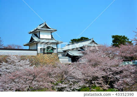 Landmark of Kanazawa Castle seen from Kanazawa Castle Park (62), Ishikawa Gate, Kenrokuen of Sakura, Ishikawa Gate Landmark of Kanazawa Castle seen from Kanazawa Castle Park (62), Ishikawa Gate, Kenrokuen of Sakura, Ishikawa Gate 43352390