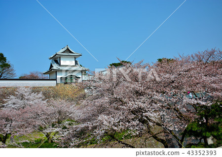 The landmark of Kanazawa Castle seen from Sakura Kanazawa Castle Park (65), Ishikawa Gate, and Kenrokuen Garden, Ishikawa Gate The landmark of Kanazawa Castle seen from Sakura Kanazawa Castle Park (65), Ishikawa Gate, and Kenrokuen Garden, Ishikawa Gate 43352393