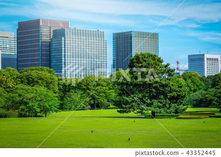 Modern building with green garden on blue sky 43352445