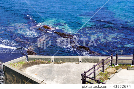 [Tokyo] Brush island of Izu Oshima 43352674