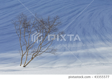 New year's Eve and snow melting line New year's Eve and snow melting line 43355577