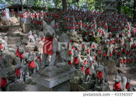 Toyokawa Inari 8051 Toyokawa Inari 8051 43356507