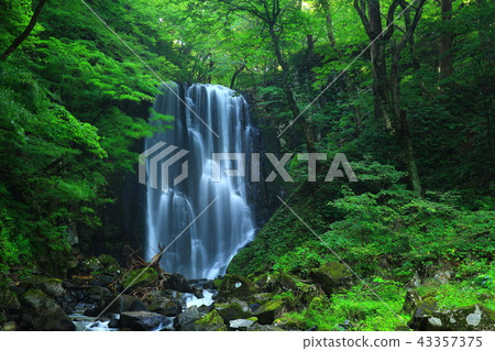 Kameda immovable waterfall in summer Kameda immovable waterfall in summer 43357375