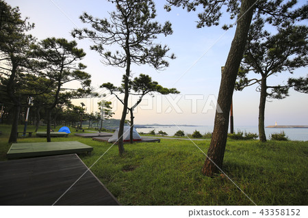 Camping in Jeju Island 43358152