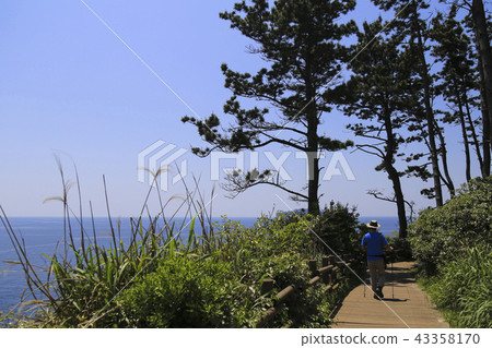 Camping in Jeju Island 43358170